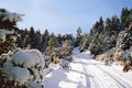 Thumbnail for version as of 03:54, 27 December 2016