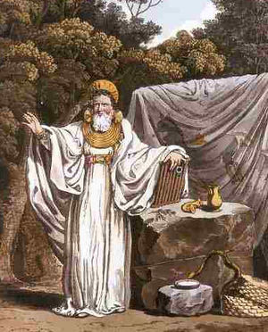Druid priest standing before an altar